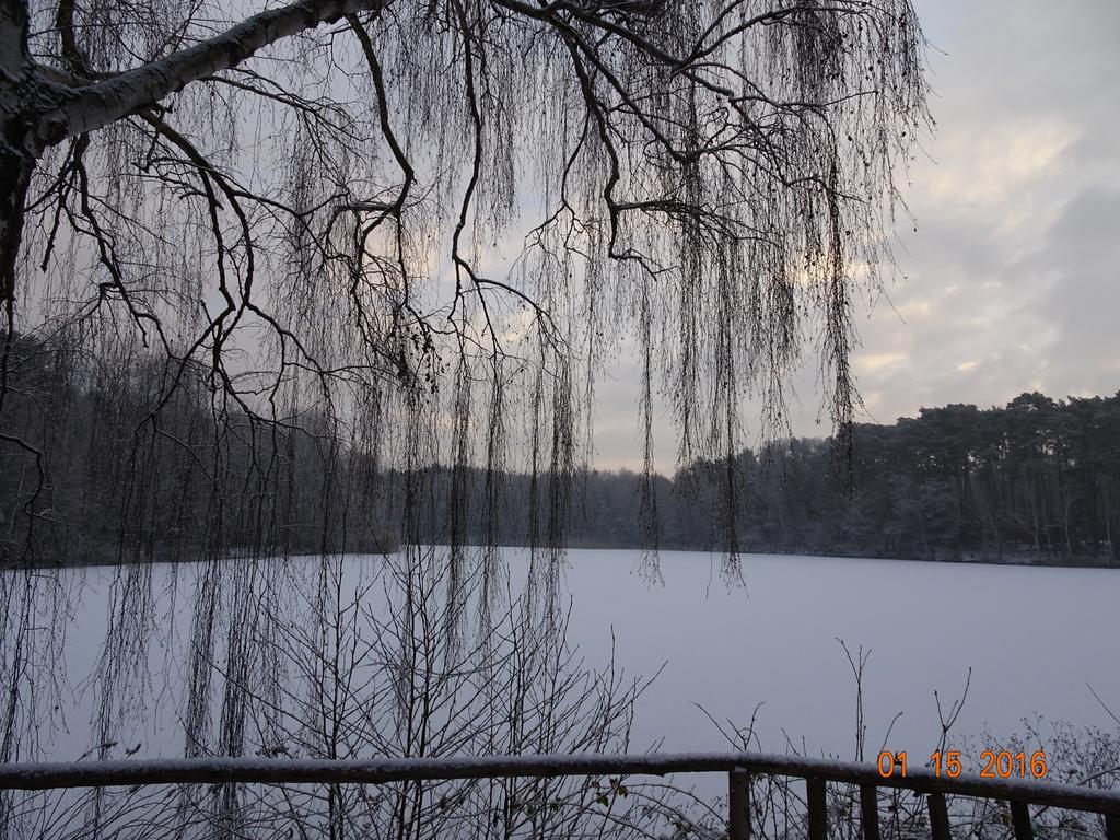 Lovecký hotel Jívák Loučeň Esterno foto