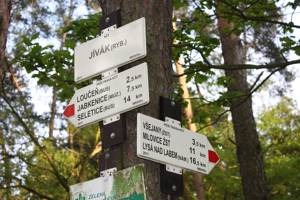 Lovecký hotel Jívák Loučeň Esterno foto